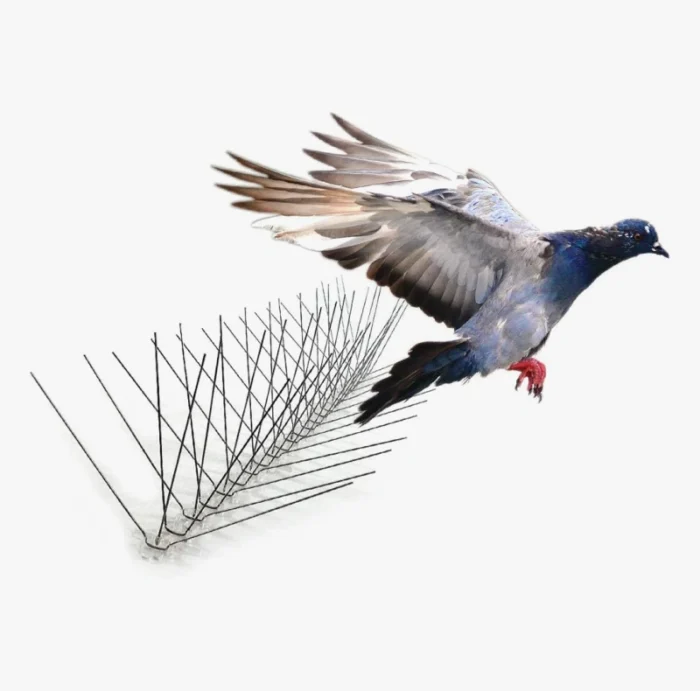 Stainless Steel Bird Spikes