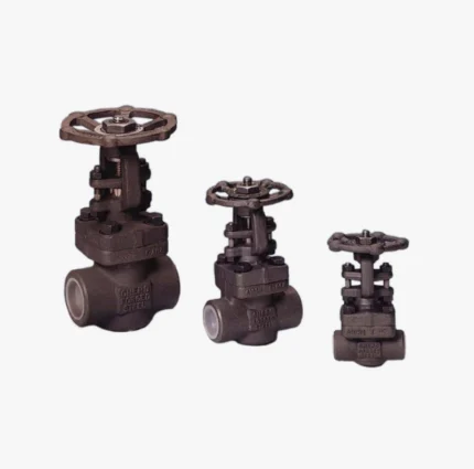 Forged Gate, Globe, and Check Valves (API 6A / API 6D)